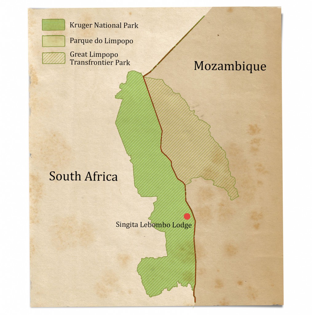 Since the early 2000s, the park has been in the process of expansion through mergers with conservation areas in Mozambique and Zimbabwe. The Great Limpopo Transfrontier Park includes Limpopo National Park in Mozambique and Gonarezhou National Park in Zimbabwe, as well as Kruger.
